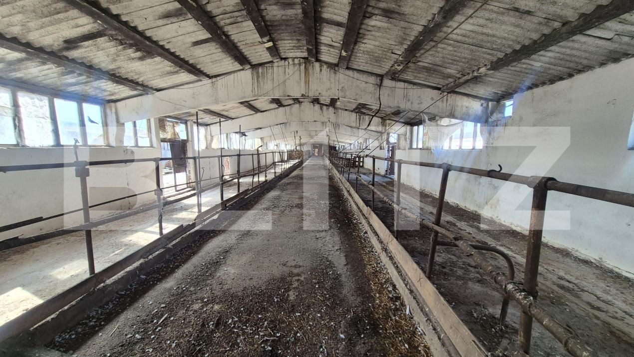 Spațiu industrial de închiriat Lazuri - 206476SII | BLITZ Satu Mare | Poza2