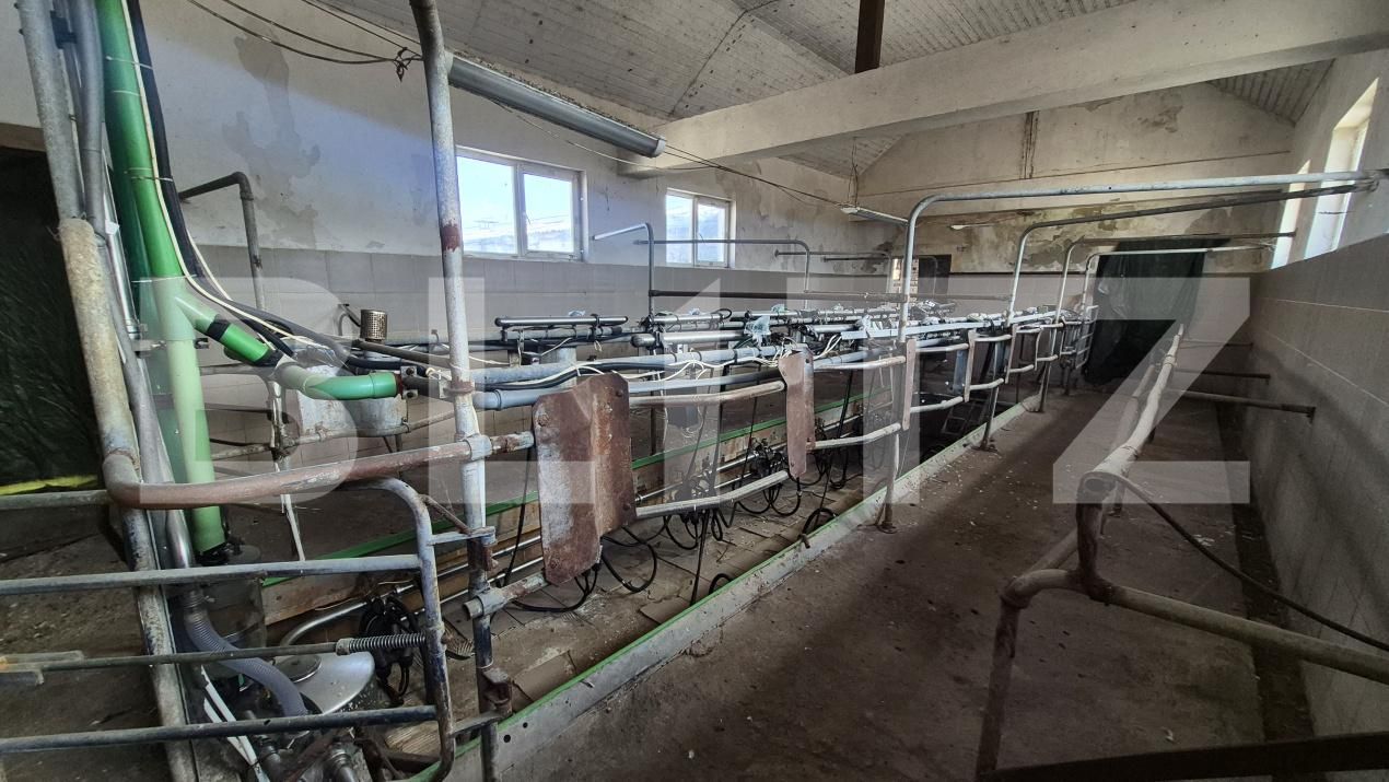 Spațiu industrial de închiriat Lazuri - 206476SII | BLITZ Satu Mare | Poza3
