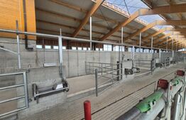 Ferma de bovine de inchiriat, 1900 mp, zona Lazuri