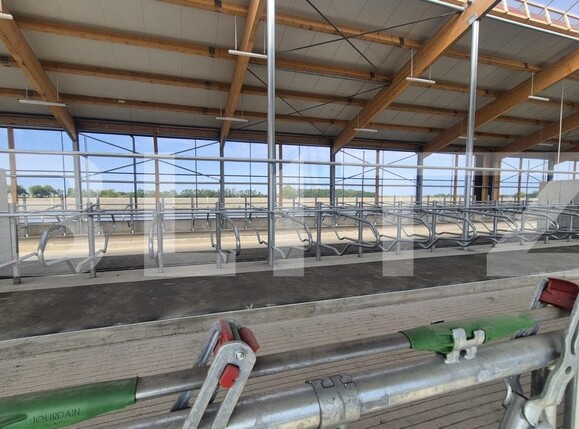Spațiu industrial de închiriat Lazuri - 206482SII | BLITZ Satu Mare | Poza7
