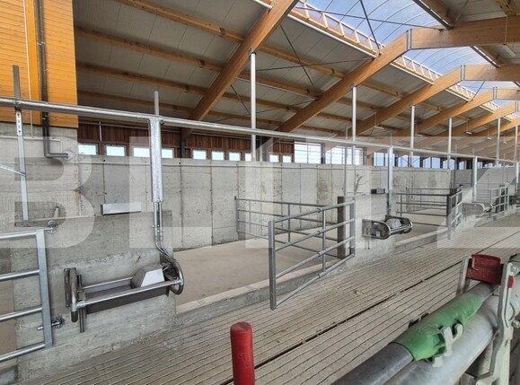 Spațiu industrial de închiriat Lazuri - 206482SII | BLITZ Satu Mare | Poza8