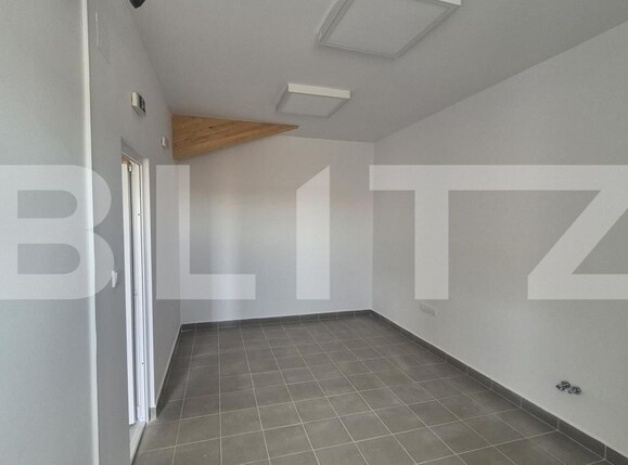 Spațiu industrial de închiriat Lazuri - 206482SII | BLITZ Satu Mare | Poza15
