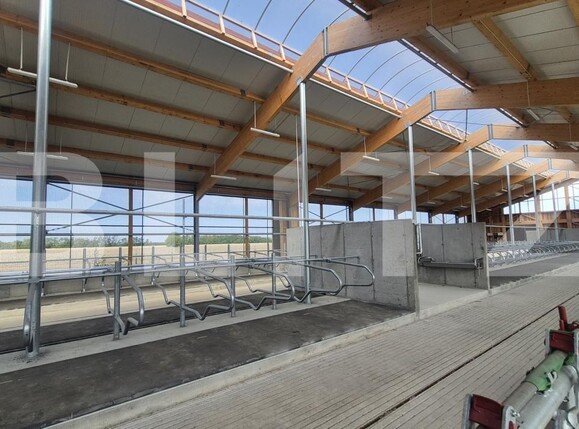 Spațiu industrial de închiriat Lazuri - 206482SII | BLITZ Satu Mare | Poza9