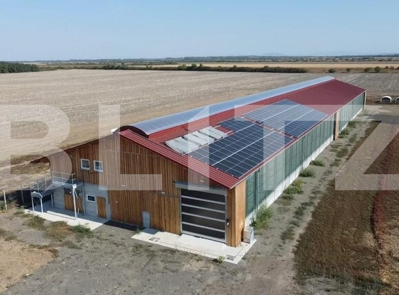 Spațiu industrial de închiriat Lazuri - 206482SII | BLITZ Satu Mare | Poza1