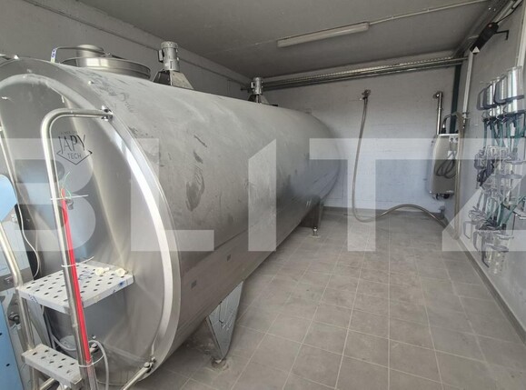 Spațiu industrial de închiriat Lazuri - 206482SII | BLITZ Satu Mare | Poza14