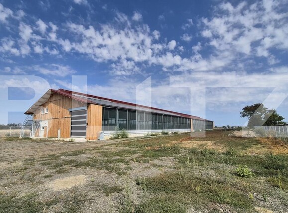 Spațiu industrial de închiriat Lazuri - 206482SII | BLITZ Satu Mare | Poza2