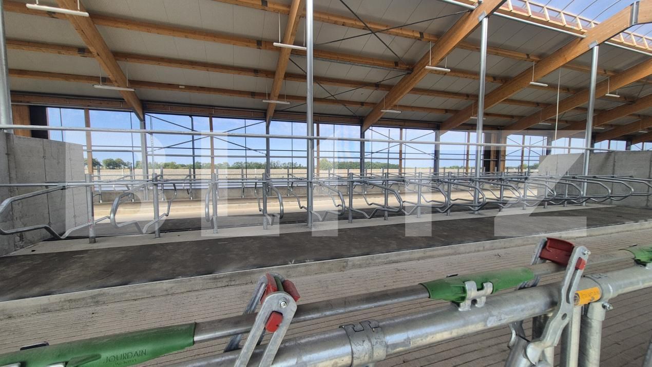 Spațiu industrial de închiriat Lazuri - 206482SII | BLITZ Satu Mare | Poza7