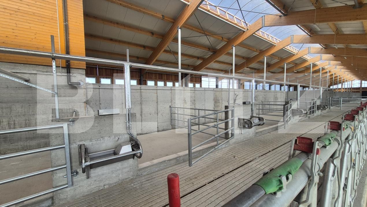 Spațiu industrial de închiriat Lazuri - 206482SII | BLITZ Satu Mare | Poza8