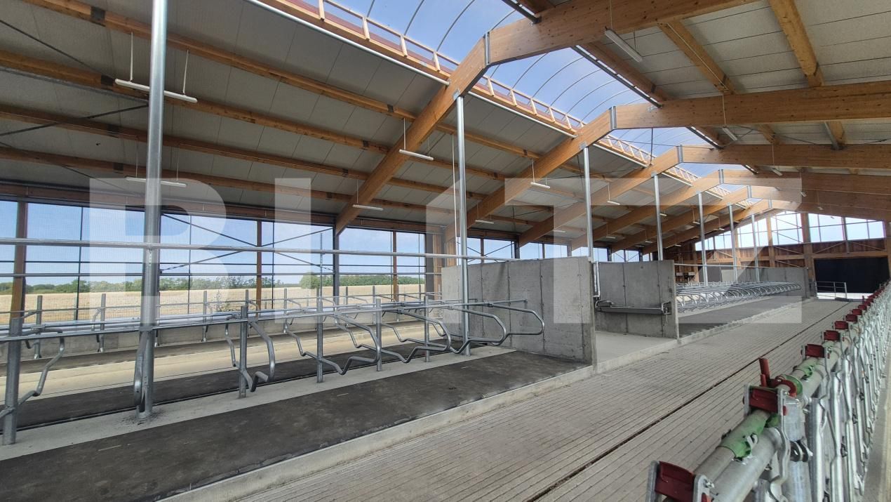 Spațiu industrial de închiriat Lazuri - 206482SII | BLITZ Satu Mare | Poza9