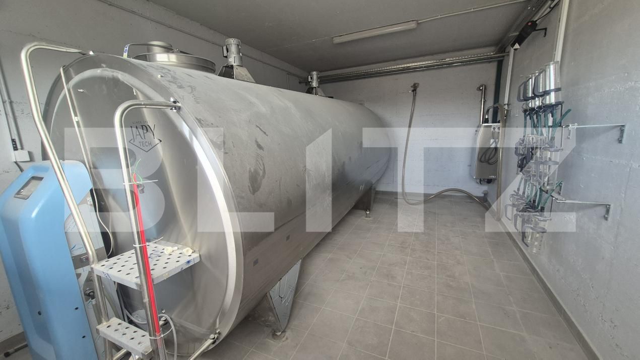 Spațiu industrial de închiriat Lazuri - 206482SII | BLITZ Satu Mare | Poza14