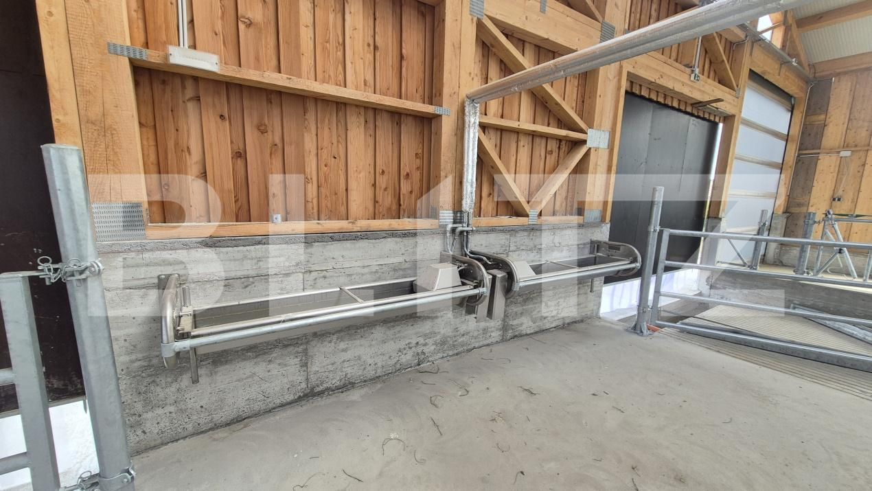 Spațiu industrial de închiriat Lazuri - 206482SII | BLITZ Satu Mare | Poza10