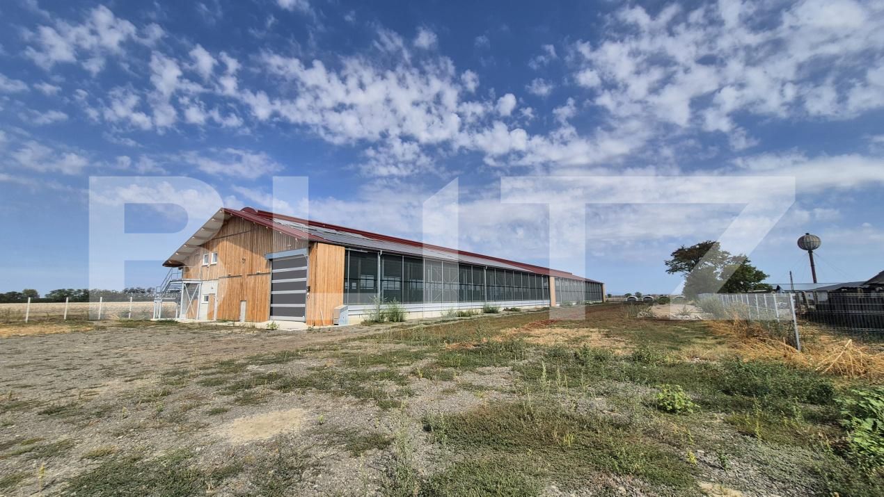 Spațiu industrial de închiriat Lazuri - 206482SII | BLITZ Satu Mare | Poza2