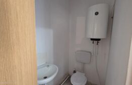 Spatiu industrial, 42  mp, zona Titulescu