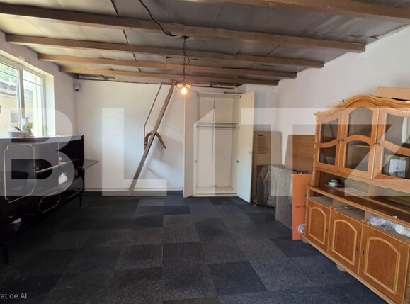 Spațiu comercial de închiriat Titulescu - 206573SIC | BLITZ Satu Mare | Poza2