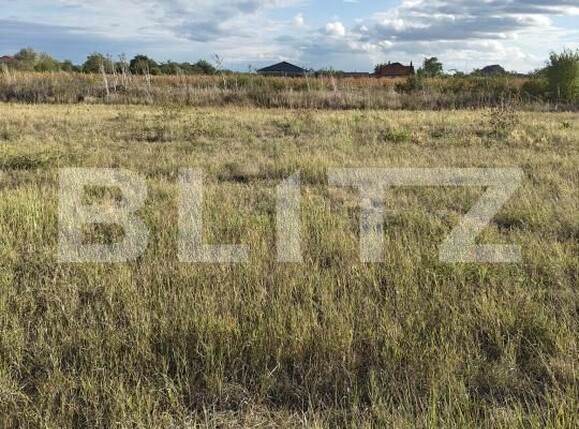 Teren de vânzare Careiului - 206757TV | BLITZ Satu Mare | Poza1