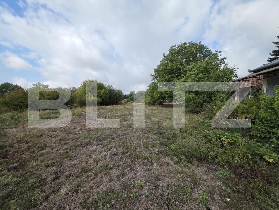 Casa de vânzare 3 camere Nord-Est - 206888CV | BLITZ Satu Mare | Poza6