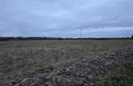 Teren extravilan, 17.545 mp, zona Est 