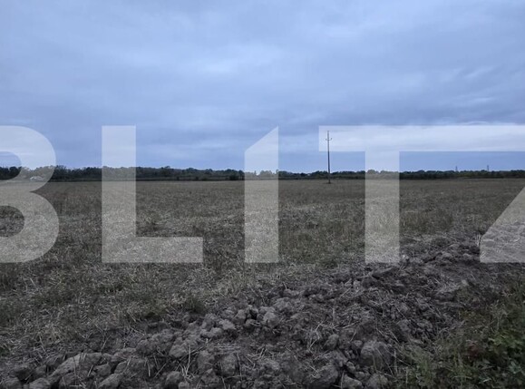 Teren de vânzare Est - 207172TV | BLITZ Satu Mare | Poza1