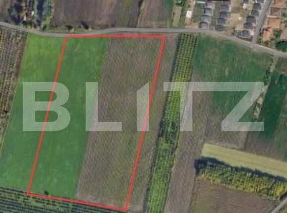 Teren de vânzare Est - 207172TV | BLITZ Satu Mare | Poza2