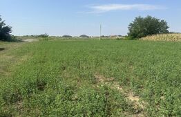 Teren extravilan, 600 mp, zona Alecu Russo