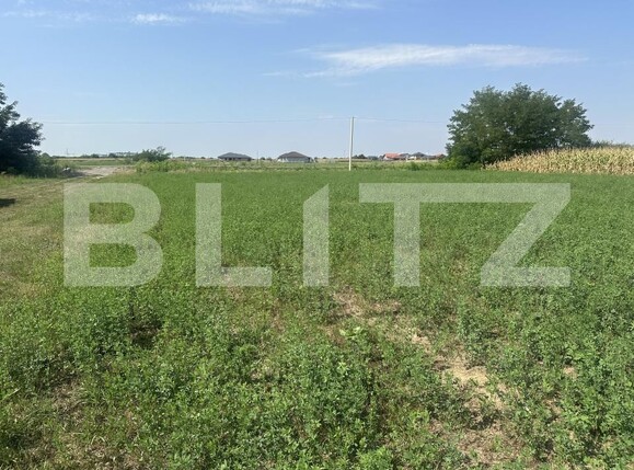 Teren de vânzare Carpati 2 - 207242TV | BLITZ Satu Mare | Poza1