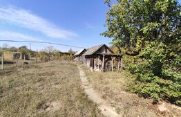 Casa de vanzare, 77 mp, teren 38 ari, zona Viile Satu Mare 
