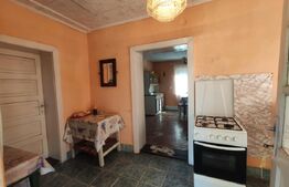 Casa de vanzare, 77 mp, teren 38 ari, zona Viile Satu Mare 