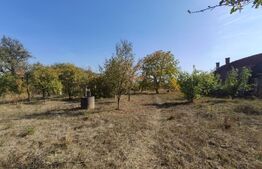 Casa de vanzare, 77 mp, teren 38 ari, zona Viile Satu Mare 