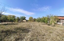Casa de vanzare, 77 mp, teren 38 ari, zona Viile Satu Mare 