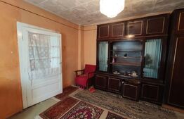 Casa de vanzare, 77 mp, teren 38 ari, zona Viile Satu Mare 