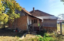 Casa de vanzare, 77 mp, teren 38 ari, zona Viile Satu Mare 