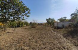 Casa de vanzare, 77 mp, teren 38 ari, zona Viile Satu Mare 