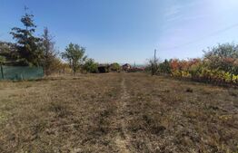 Casa de vanzare, 77 mp, teren 38 ari, zona Viile Satu Mare 