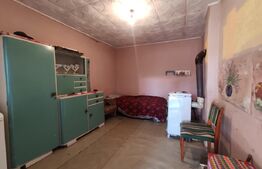 Casa de vanzare, 77 mp, teren 38 ari, zona Viile Satu Mare 