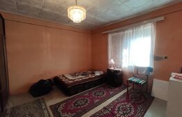 Casa de vanzare, 77 mp, teren 38 ari, zona Viile Satu Mare 