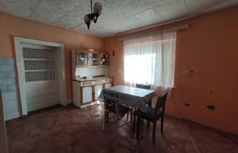 Casa de vanzare, 77 mp, teren 38 ari, zona Viile Satu Mare 