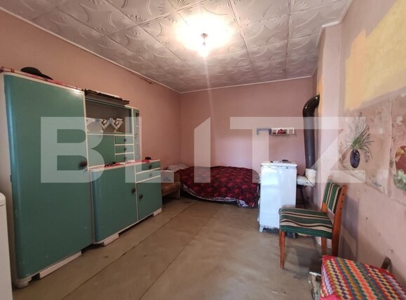 Casa de vânzare 3 camere Viile Satu Mare - 208052CV | BLITZ Satu Mare | Poza10