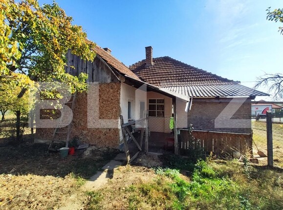 Casa de vânzare 3 camere Viile Satu Mare - 208052CV | BLITZ Satu Mare | Poza2
