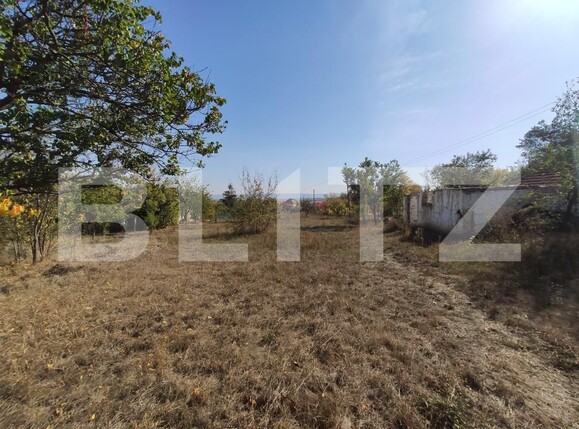 Casa de vânzare 3 camere Viile Satu Mare - 208052CV | BLITZ Satu Mare | Poza17