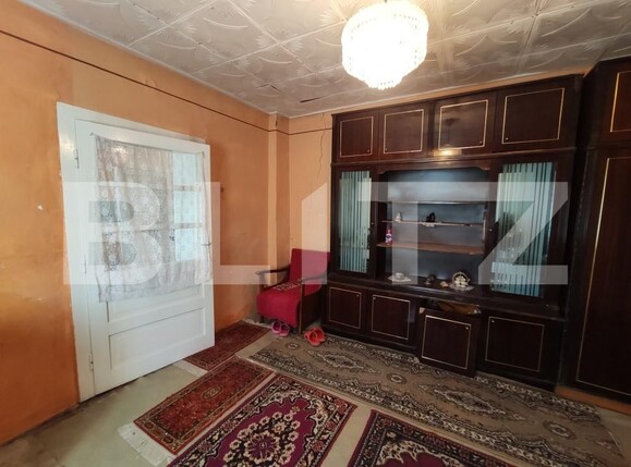 Casa de vânzare 3 camere Viile Satu Mare - 208052CV | BLITZ Satu Mare | Poza6