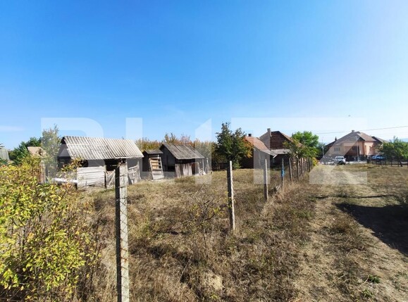 Casa de vânzare 3 camere Viile Satu Mare - 208052CV | BLITZ Satu Mare | Poza13