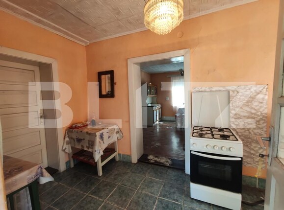 Casa de vânzare 3 camere Viile Satu Mare - 208052CV | BLITZ Satu Mare | Poza8