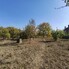 Casa de vânzare 3 camere Viile Satu Mare - 208052CV - Poza 1 din 18 | BLITZ Satu Mare | Poza15