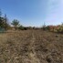 Casa de vânzare 3 camere Viile Satu Mare - 208052CV - Poza 1 din 18 | BLITZ Satu Mare | Poza14