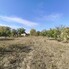 Casa de vânzare 3 camere Viile Satu Mare - 208052CV - Poza 1 din 18 | BLITZ Satu Mare | Poza17
