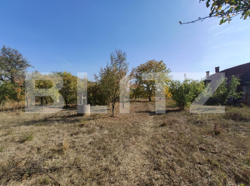 Casa de vânzare 3 camere Viile Satu Mare - 208052CV | BLITZ Satu Mare | Poza16