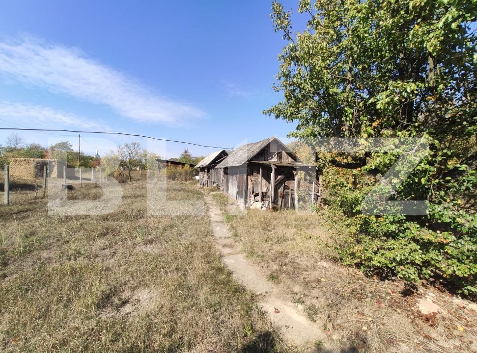 Casa de vânzare 3 camere Viile Satu Mare - 208052CV | BLITZ Satu Mare | Poza12
