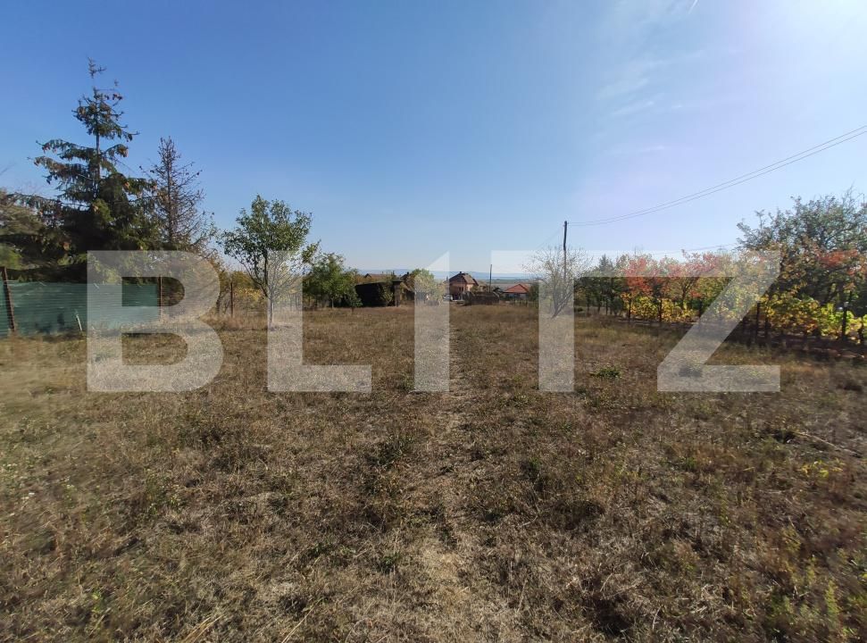 Casa de vânzare 3 camere Viile Satu Mare - 208052CV | BLITZ Satu Mare | Poza15