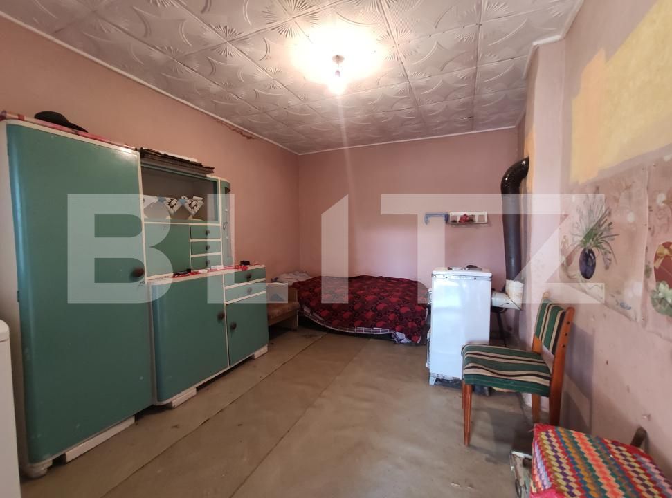 Casa de vânzare 3 camere Viile Satu Mare - 208052CV | BLITZ Satu Mare | Poza10
