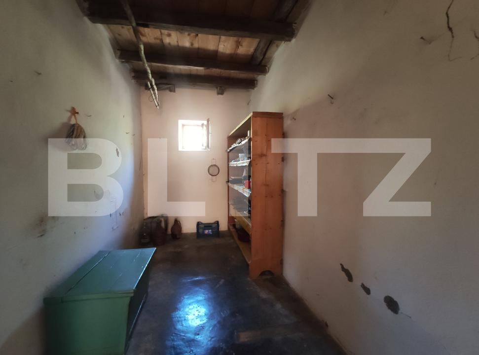 Casa de vânzare 3 camere Viile Satu Mare - 208052CV | BLITZ Satu Mare | Poza11